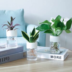 Modern Two-Tone Desktop Plastic Planter